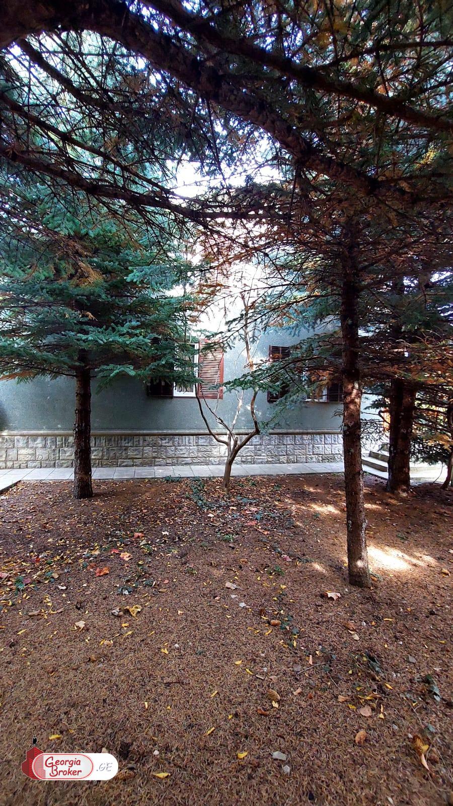 იყიდება ახალი გარემონტებული 5 ოთახიანი სახლი წეროვანში